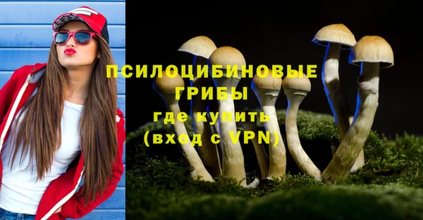 прущий лед Гусь-Хрустальный