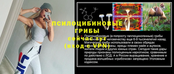 альфа пвп Гусев